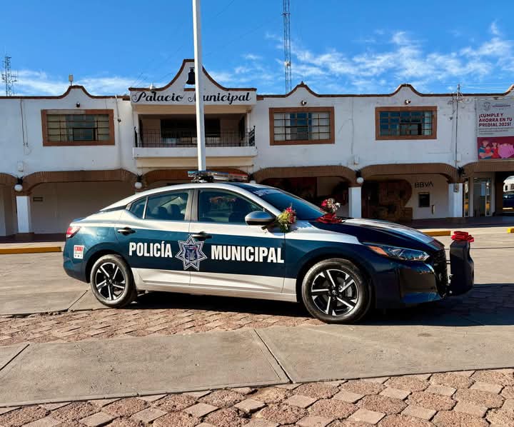 Seguridad Publica